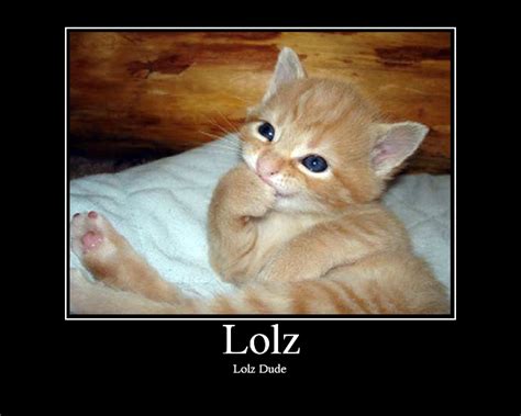 (@zlolz.