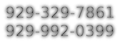 929-329-7861