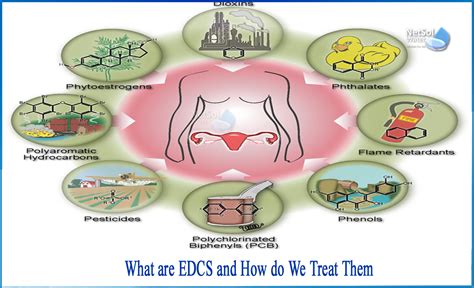 EDCS.