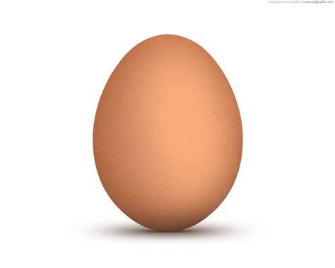 EGG.