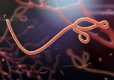 Ebola.