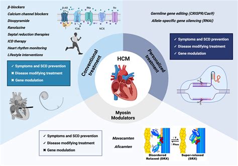 Hcm.