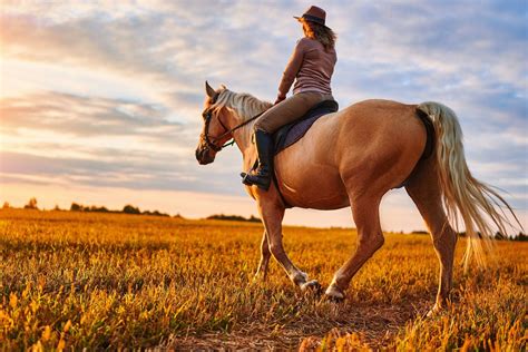 Horseback.