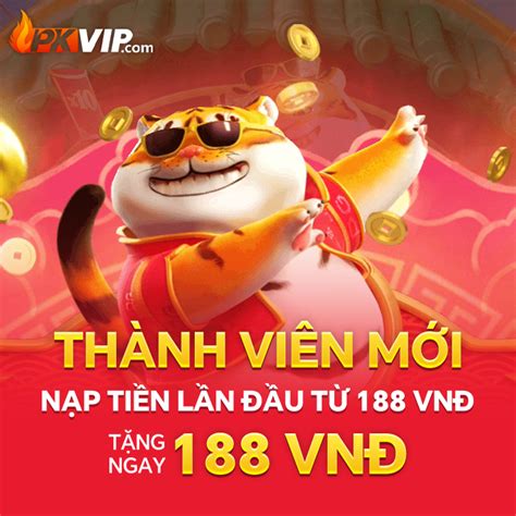 PKVIP.
