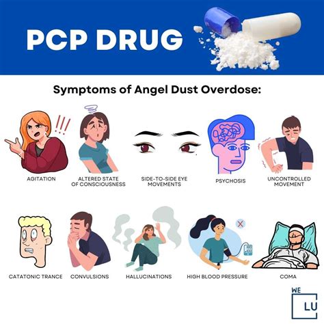 Pcp.