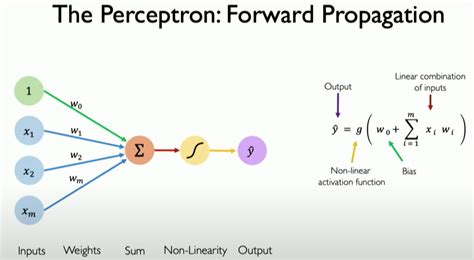 Perceptron.
