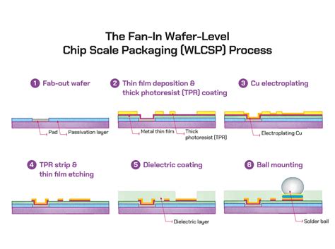 WLP.