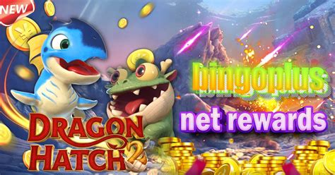 binggoplus.net