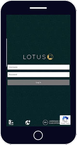 lotusbook247.