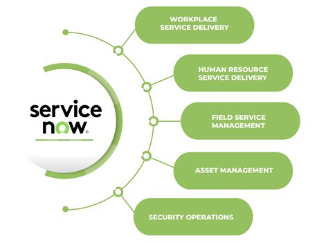 myservices.servicenowservices.com.