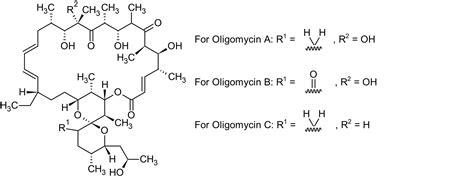 oligomycin.