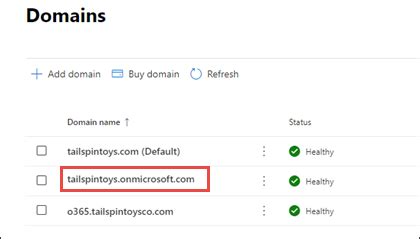 onmicrosoft.com.