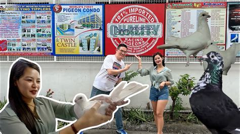 pilipinaskalapaticlocking.com.