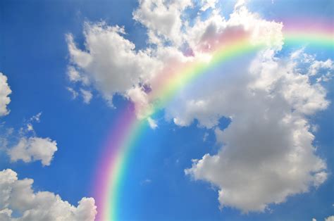 rainbow.
