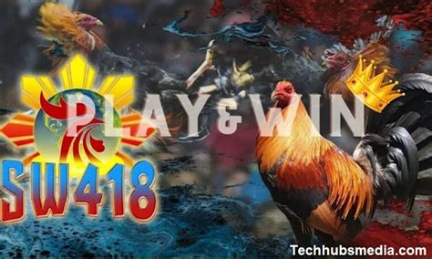 sw418.com