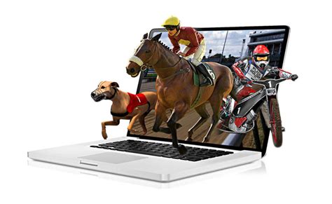 virtualbet