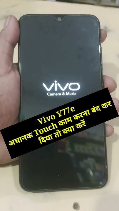 vivov77e.