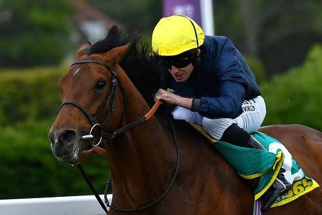winnerbet365
