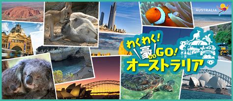 オーストラリア旅行・オーストラリアツアー｜海外ツアー【JTB】.