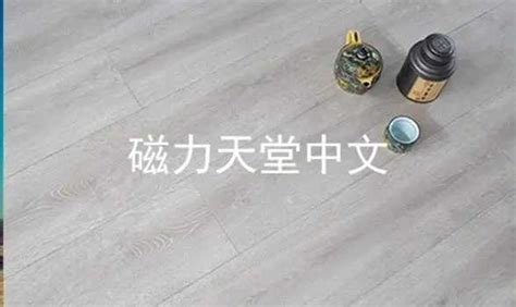天堂磁力.