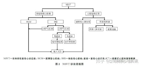 非持续性室速（NSVT）定义、病因、机制、临床表现、诊断、.